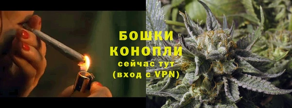 сатива Вязники