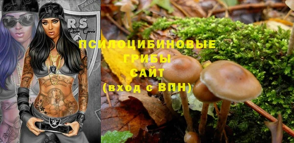 сатива Вязники