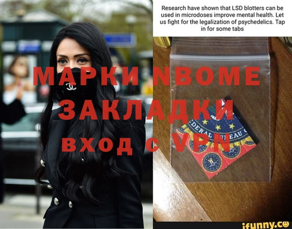 сатива Вязники