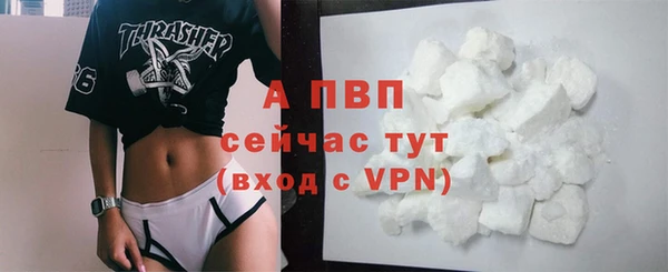 сатива Вязники