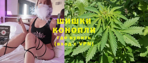 сатива Вязники