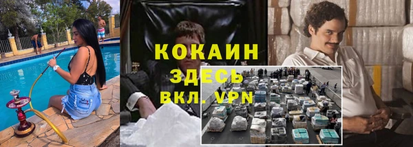 сатива Вязники