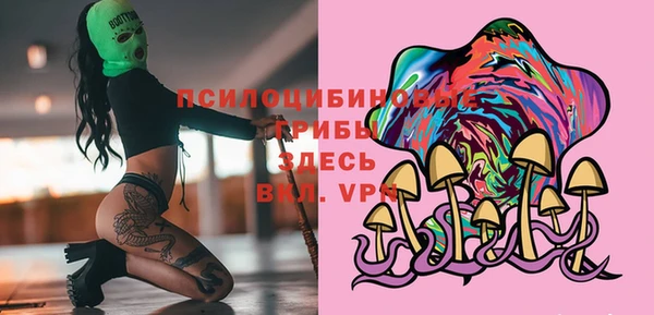 сатива Вязники