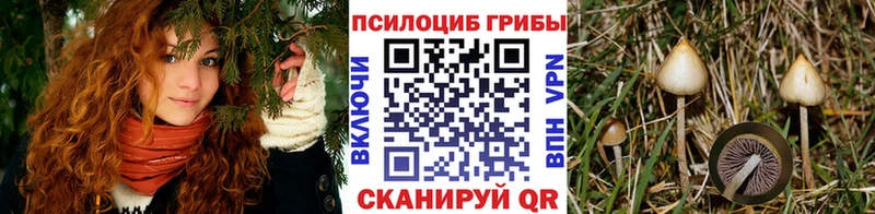 наркота  Лысьва  Галлюциногенные грибы прущие грибы 