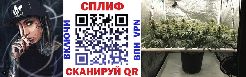 дарнет шоп  KRAKEN как войти  Бошки Шишки сатива  нарко площадка клад  Лысьва 